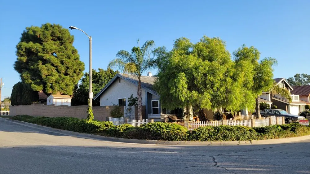 Top-rated lawn care service in Torrance, CA - MGA Tree Service