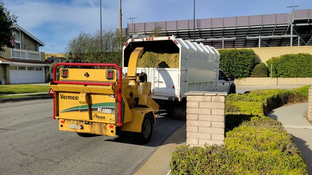 Trusted yard maintenance with custom design in Torrance, CA by MGA Tree Service