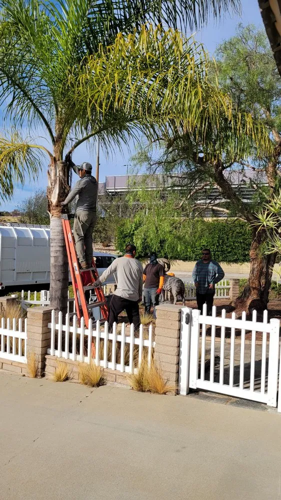 Top-rated garden landscaping experts serving Torrance, CA - MGA Tree Service