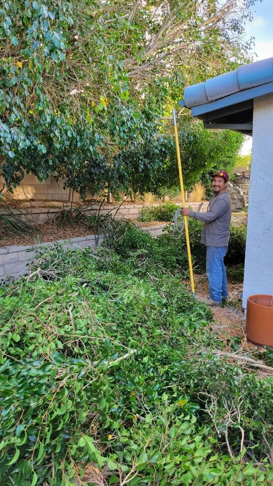 Professional lawn mowing service for outdoor upgrades across Torrance, CA - MGA Tree Service