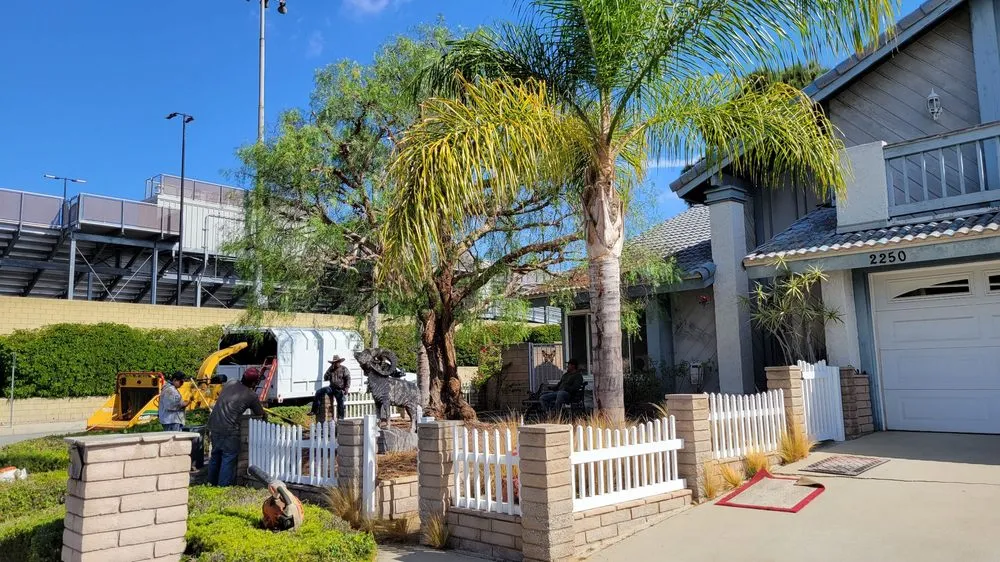 Professional lawn care service experts serving Torrance, CA - MGA Tree Service