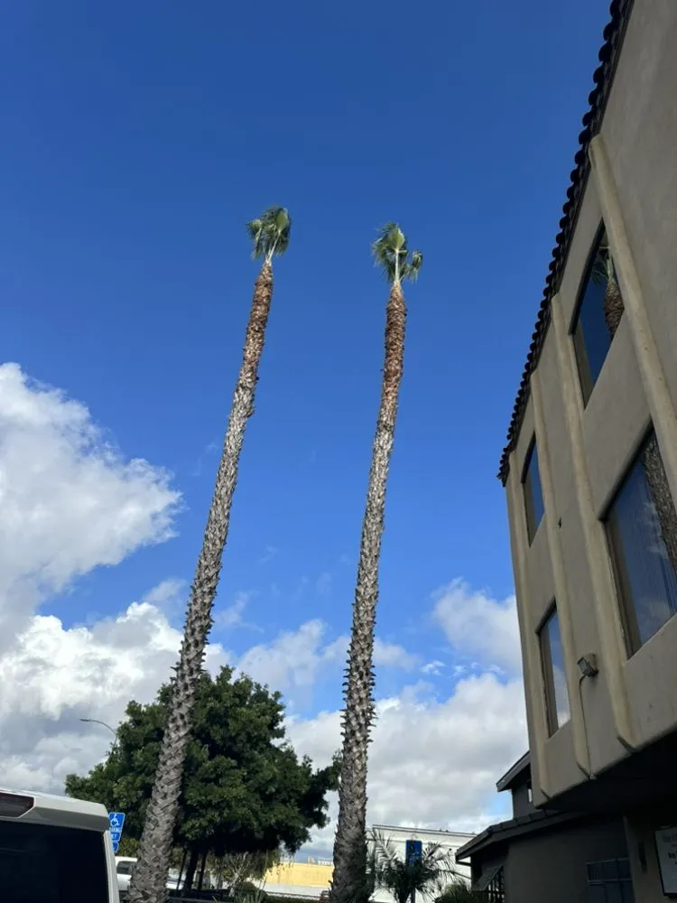 Local lawn mowing service for residential properties across Torrance, CA - MGA Tree Service