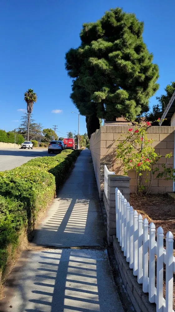Local yard cleanup service for beautiful yards in Torrance, CA by MGA Tree Service