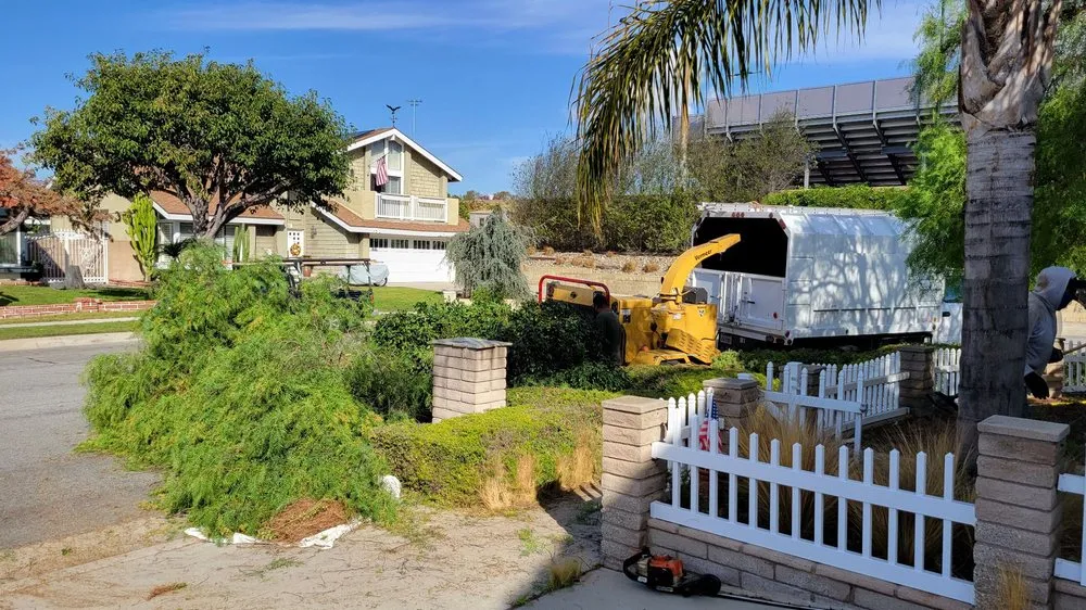 Custom landscape design in Torrance, CA by MGA Tree Service