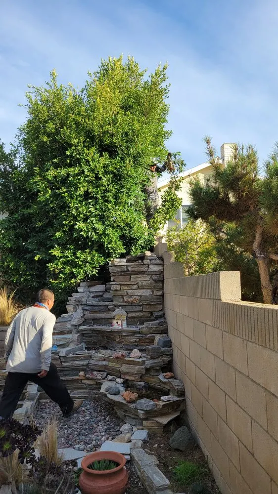Top-rated residential landscaping in Torrance, CA - MGA Tree Service