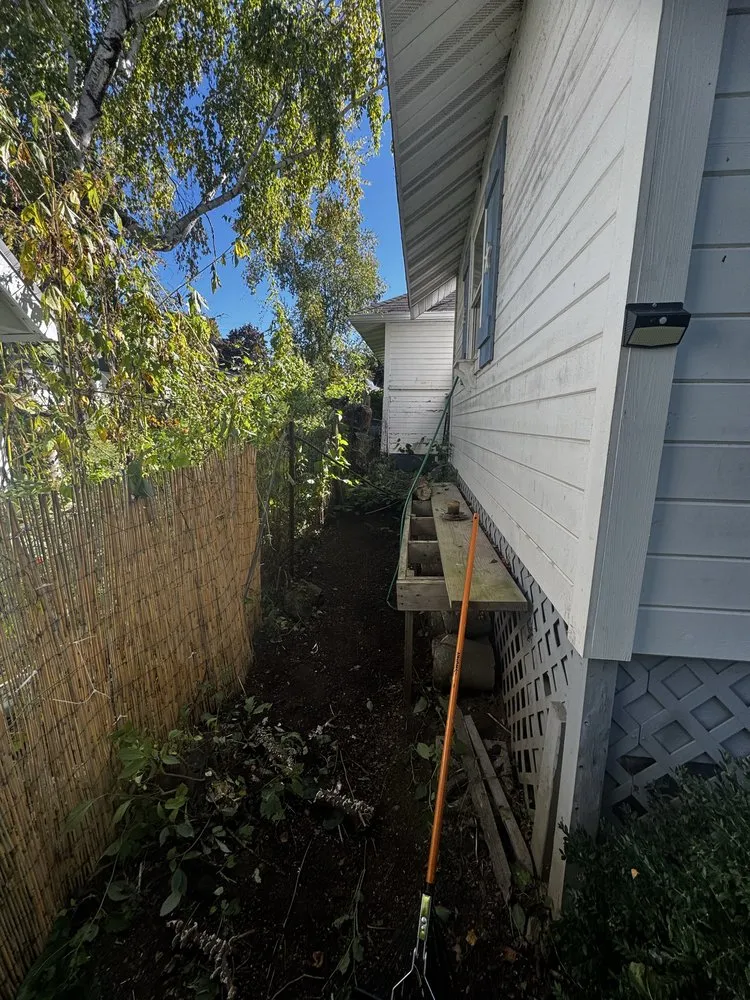 Custom landscaping services for year-round maintenance in Fitchburg, WI by MGG Landscaping