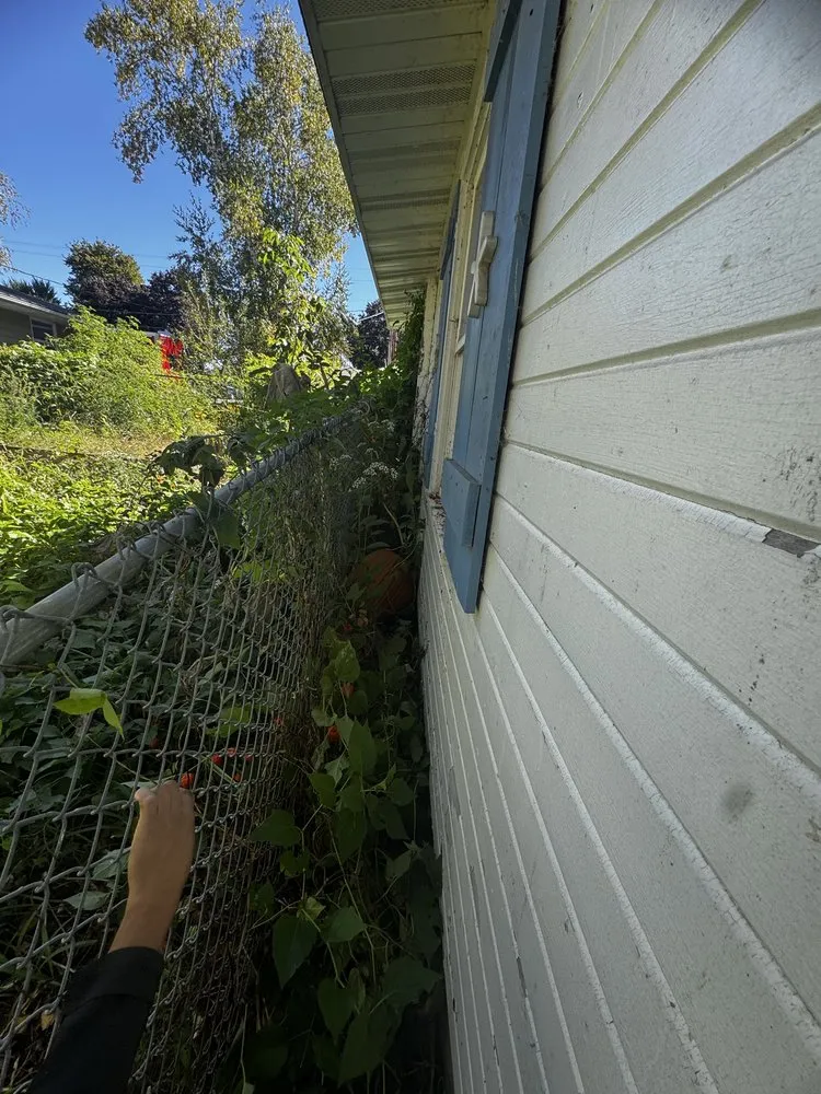 Trusted residential landscaping for beautiful yards across Fitchburg, WI - MGG Landscaping