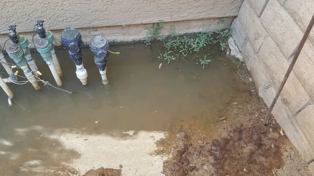 Trusted landscaping services in Lancaster, CA - MGG landscaping