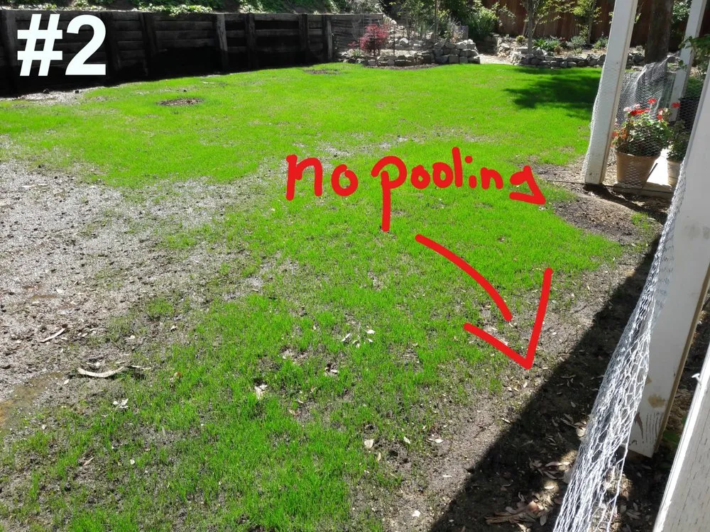 Reliable landscaping services for residential properties across Lancaster, CA - MGG landscaping