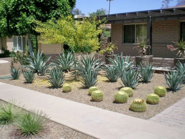 Local landscape design for residential properties across Lancaster, CA - MGG landscaping