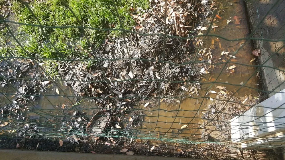 Local garden landscaping for beautiful yards across Lancaster, CA - MGG landscaping