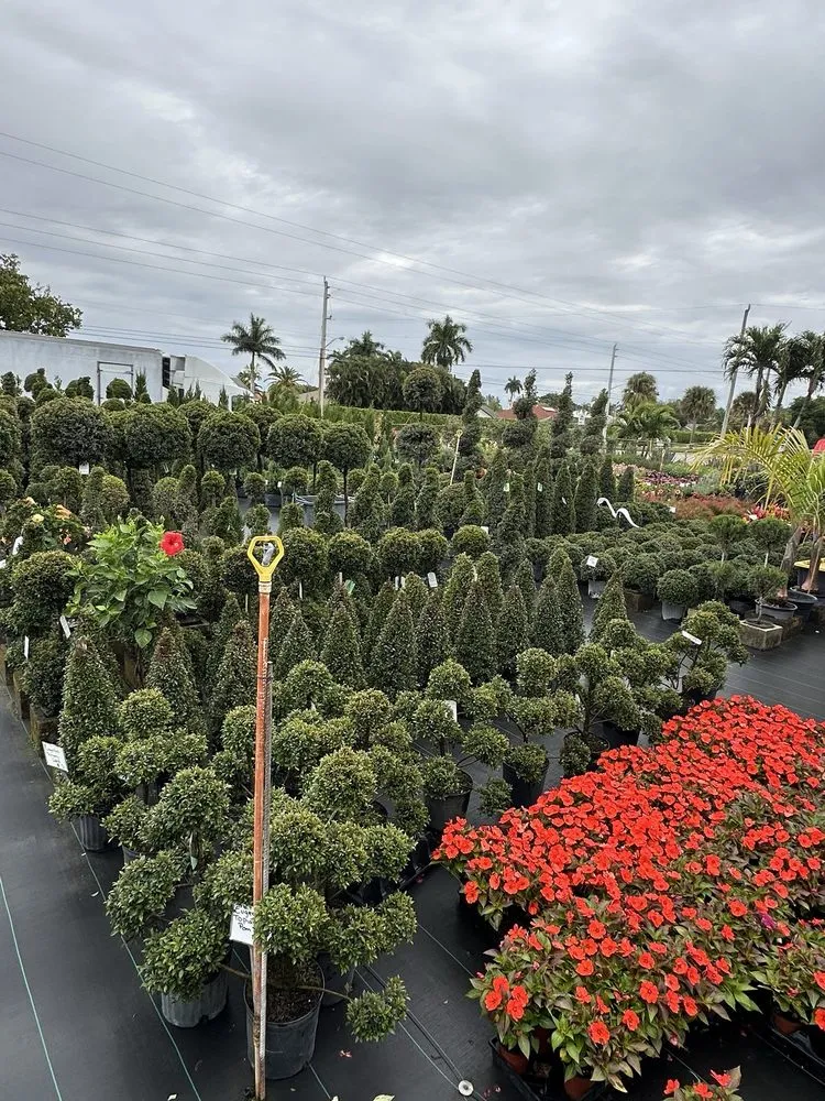 Expert landscape design with custom design in Lake Worth, FL by MGH Landscaping