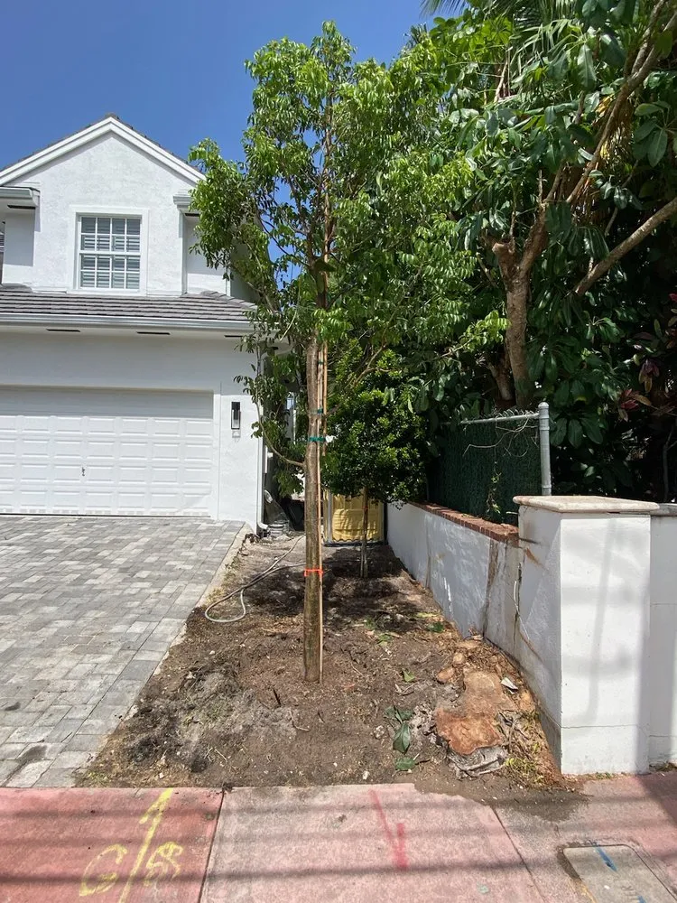 Reliable yard cleanup service for homes in Lake Worth, FL by MGH Landscaping