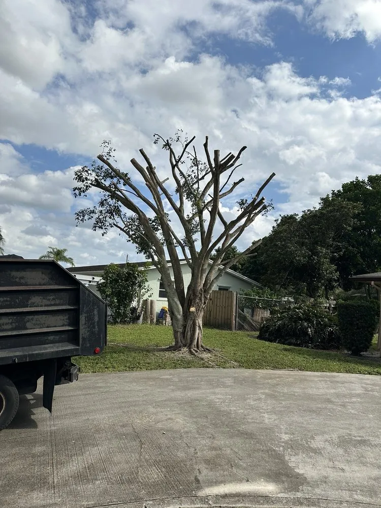 Top-rated landscaping services with custom design across Lake Worth, FL - MGH Landscaping