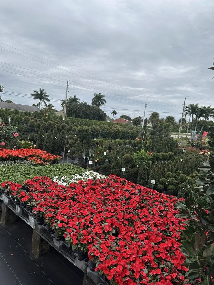 Affordable residential landscaping for beautiful yards in Lake Worth, FL by MGH Landscaping