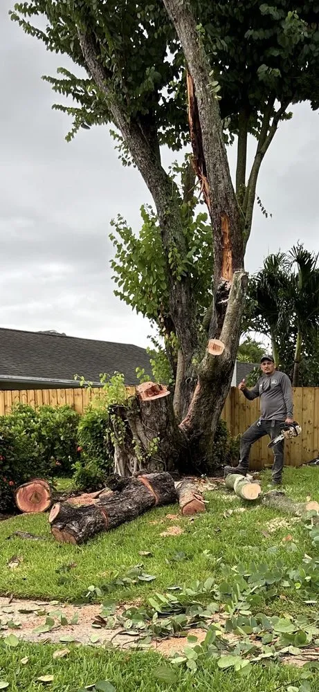 Trusted yard maintenance in Lake Worth, FL by MGH Landscaping