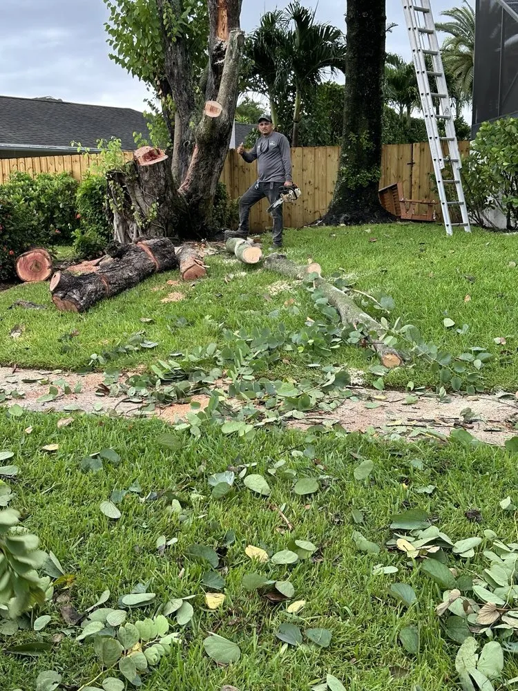 Reliable residential landscaping experts serving Lake Worth, FL - MGH Landscaping