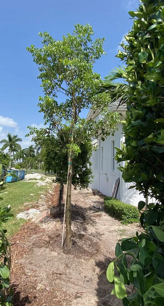 Professional lawn care service for beautiful yards across Lake Worth, FL - MGH Landscaping