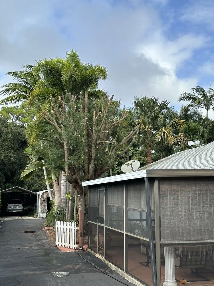 Trusted lawn care service in Lake Worth, FL - MGH Landscaping