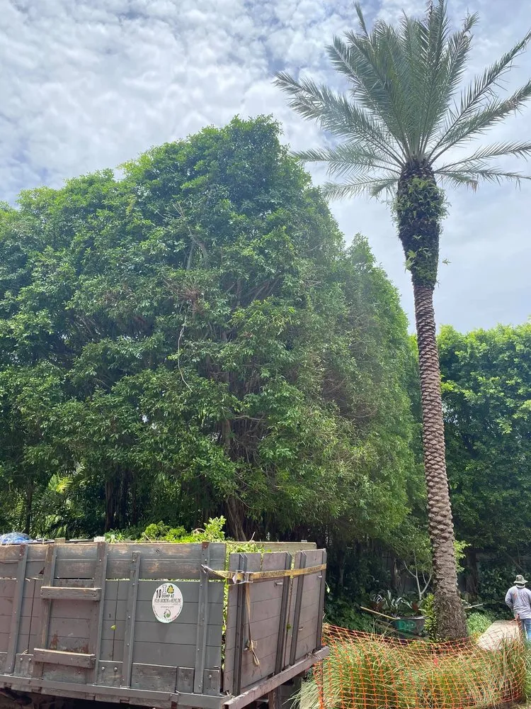 Local landscape installation for residential properties in Lake Worth, FL by MGH Landscaping