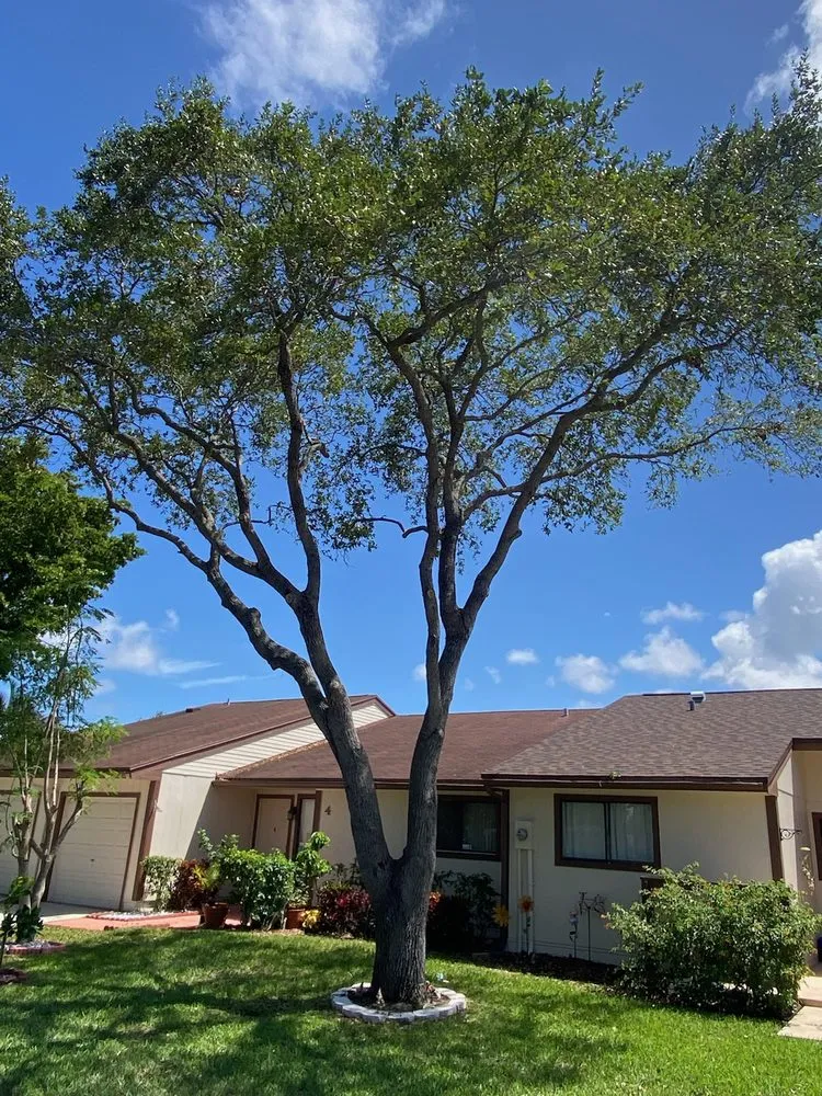 Local landscape design experts serving Lake Worth, FL - MGH Landscaping