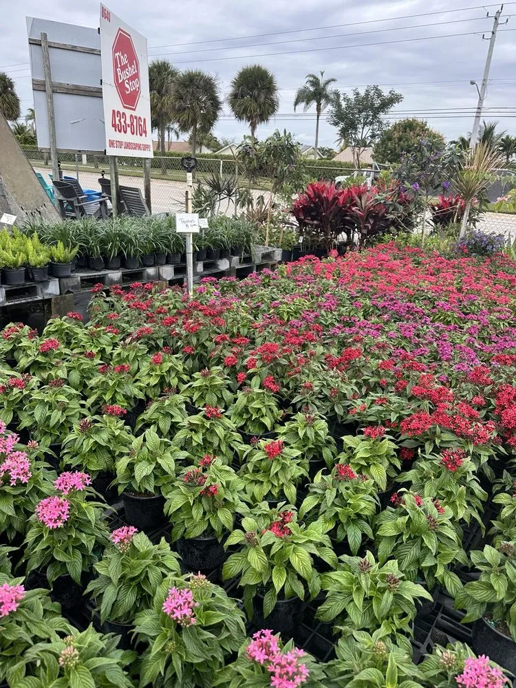 Reliable outdoor landscaping for year-round maintenance in Lake Worth, FL by MGH Landscaping