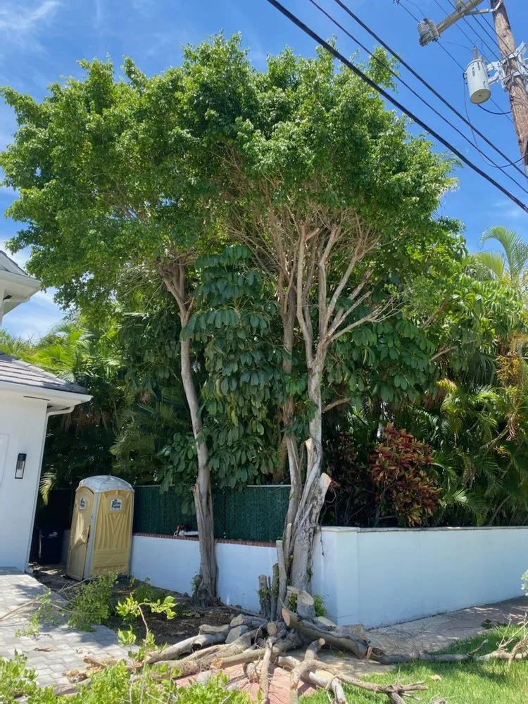 Affordable landscape design in Lake Worth, FL - MGH Landscaping