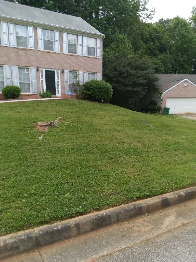 Local yard cleanup service in Atlanta, GA by MGI Landscaping