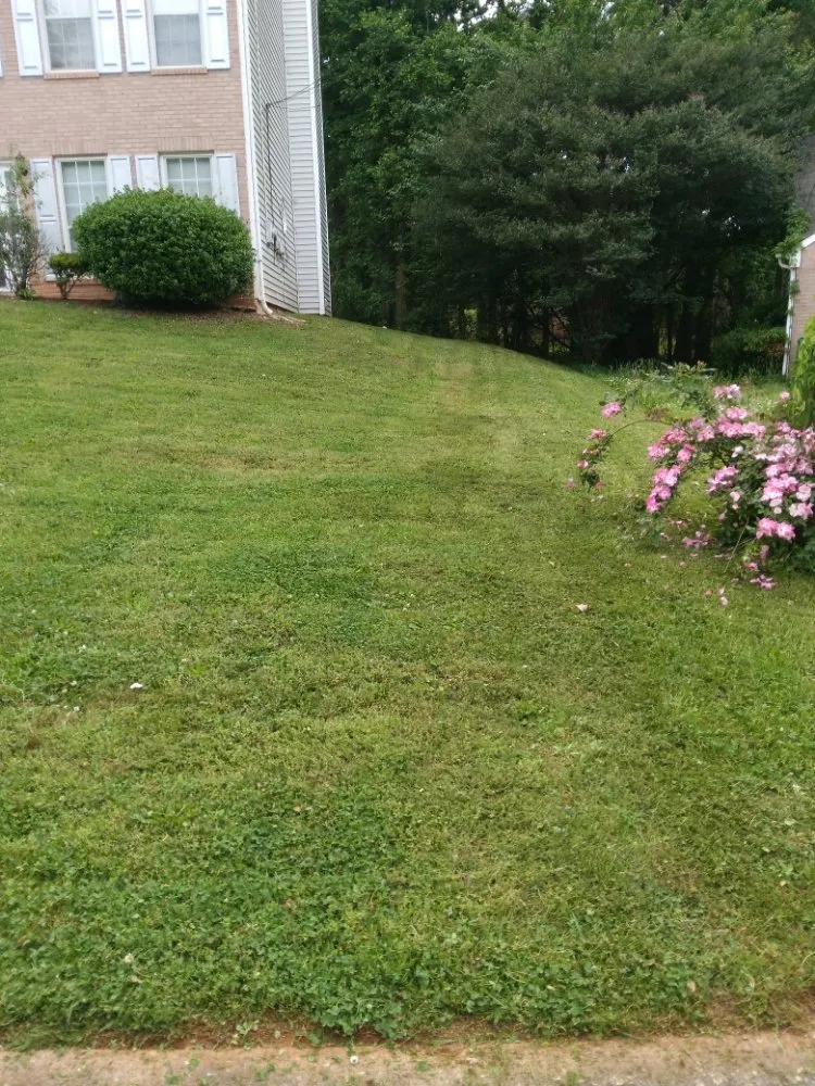 Expert landscape installation for homes in Atlanta, GA by MGI Landscaping