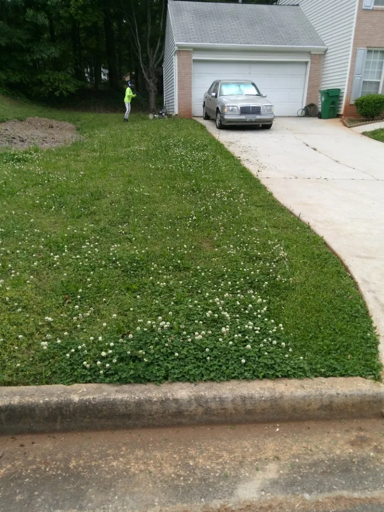 Affordable lawn care service in Atlanta, GA by MGI Landscaping