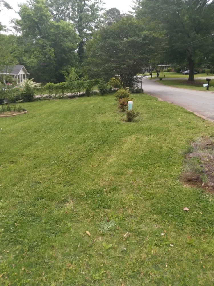 Reliable garden landscaping experts serving Atlanta, GA - MGI Landscaping