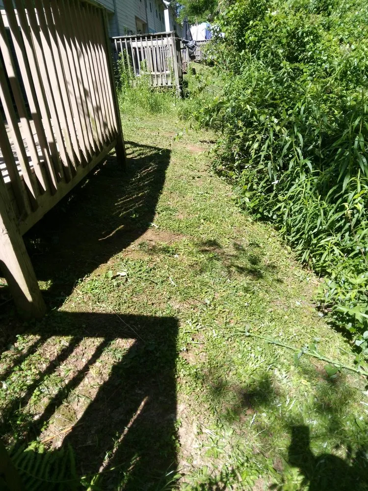 Trusted lawn care service experts serving Atlanta, GA - MGI Landscaping