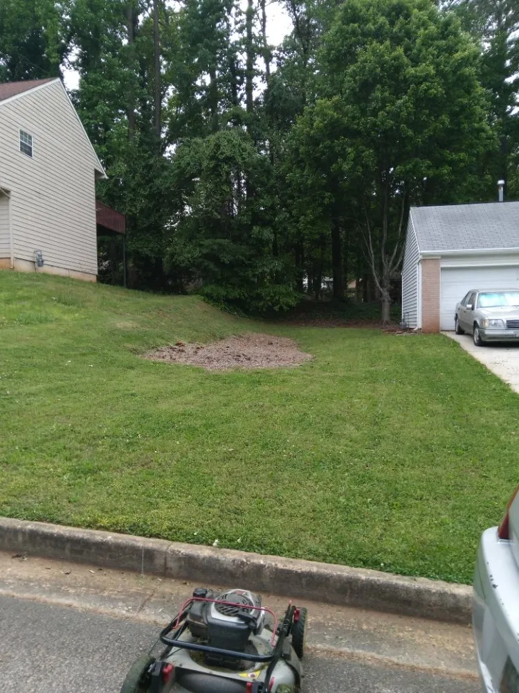 Reliable yard cleanup service in Atlanta, GA by MGI Landscaping