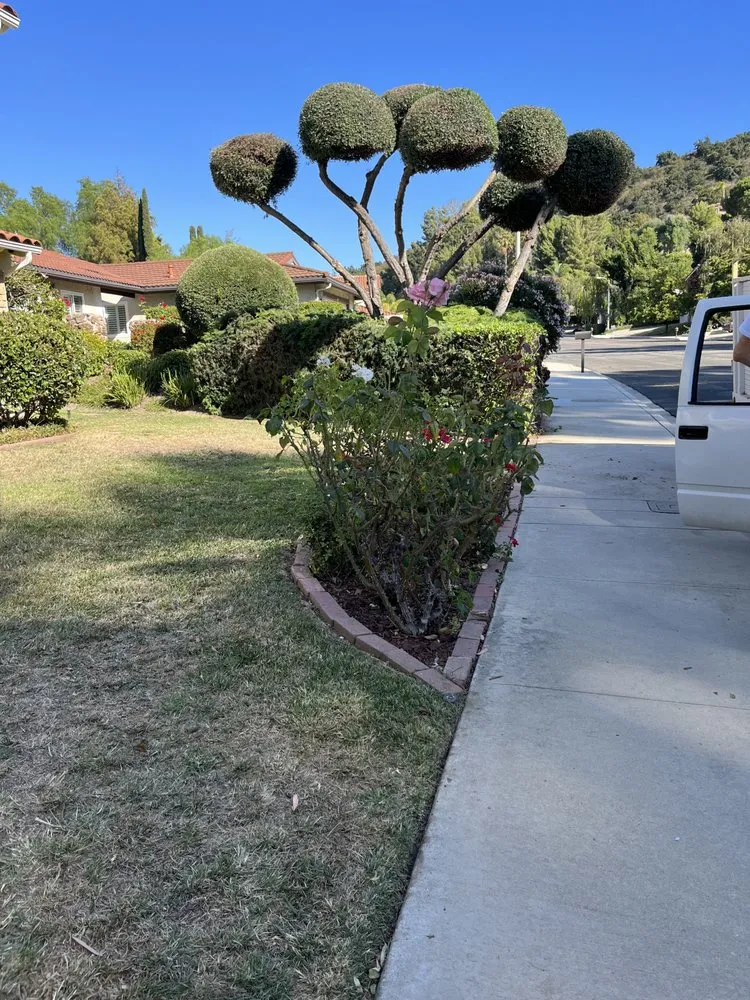 Expert yard maintenance experts serving Oxnard, CA - MGL Landscaping