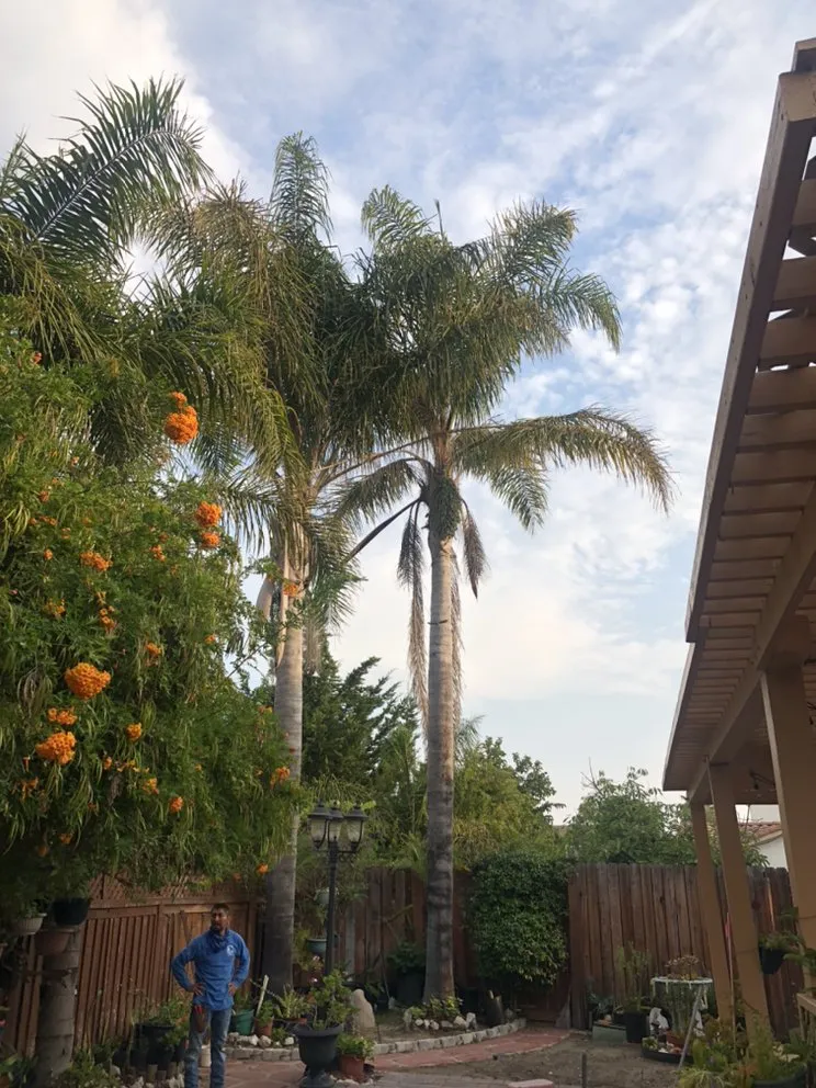 Top-rated landscape installation near you in Oxnard, CA by MGL Landscaping