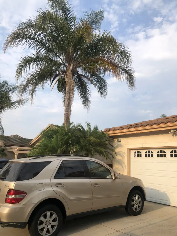 Expert landscape installation experts serving Oxnard, CA - MGL Landscaping