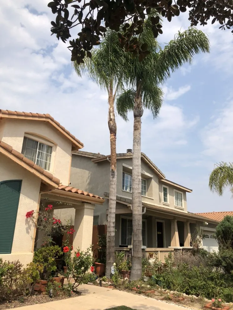 Top-rated landscaping services near you in Oxnard, CA by MGL Landscaping