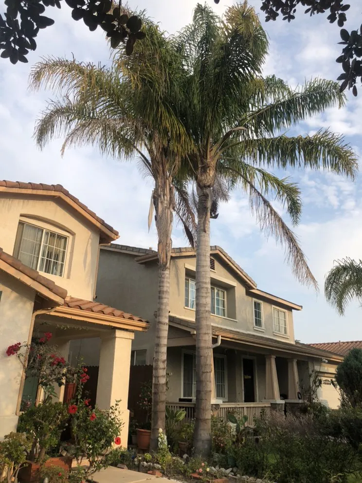 Trusted garden landscaping for residential properties across Oxnard, CA - MGL Landscaping