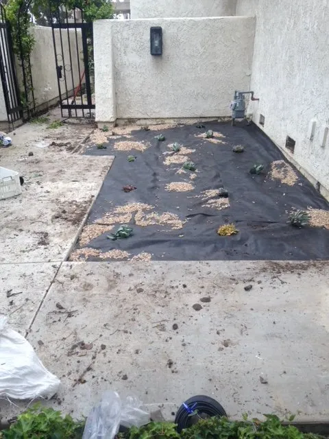 Local residential landscaping in Oxnard, CA - MGL Landscaping