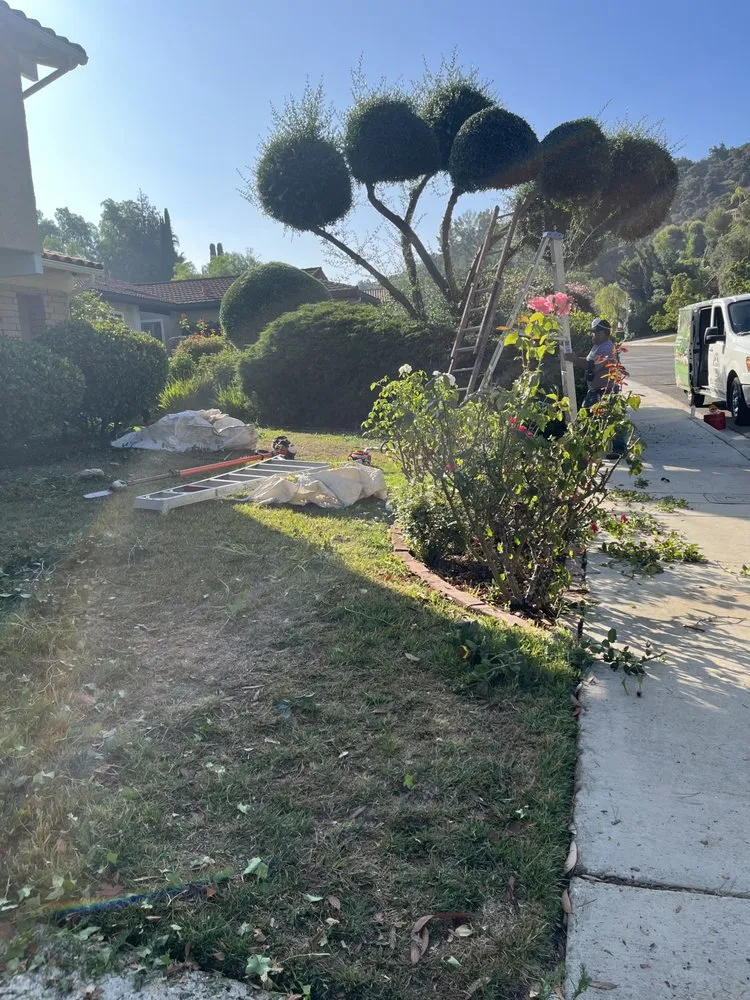 Expert landscaping services experts serving Oxnard, CA - MGL Landscaping