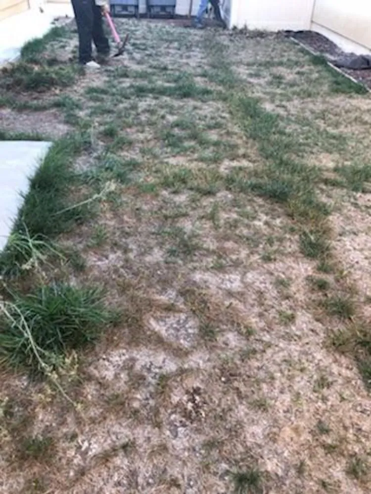 Top-rated lawn mowing service in Oxnard, CA by MGL Landscaping