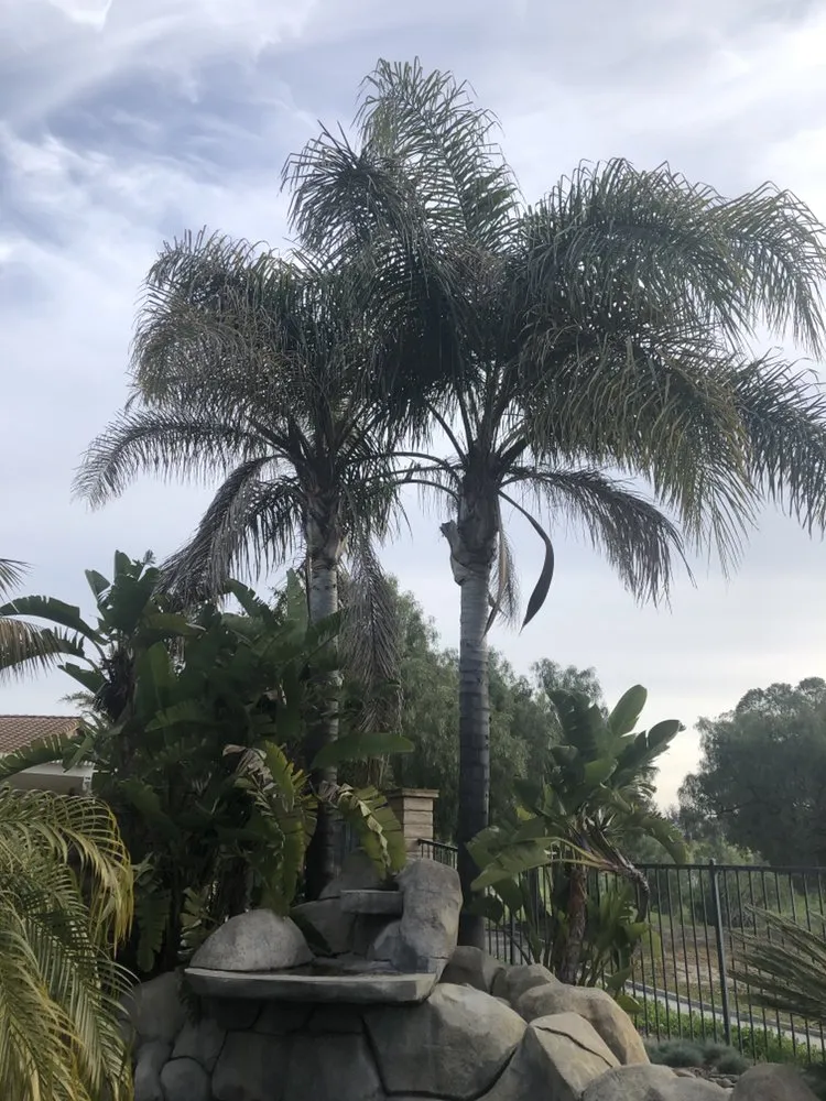 Trusted landscape design experts serving Oxnard, CA - MGL Landscaping