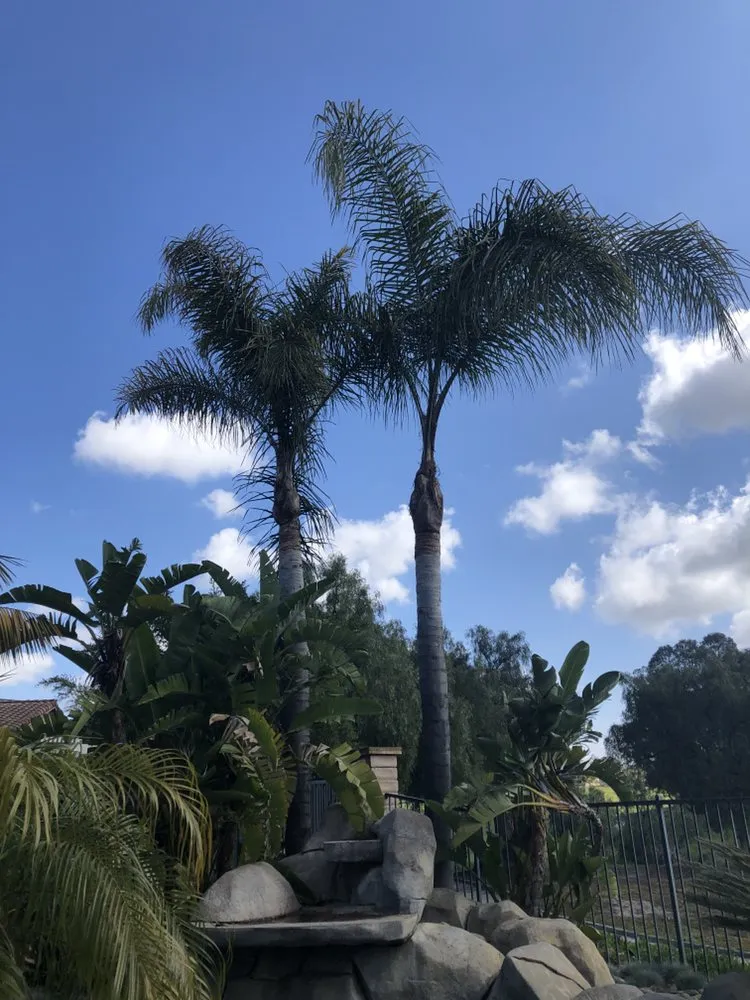 Top-rated garden landscaping in Oxnard, CA by MGL Landscaping