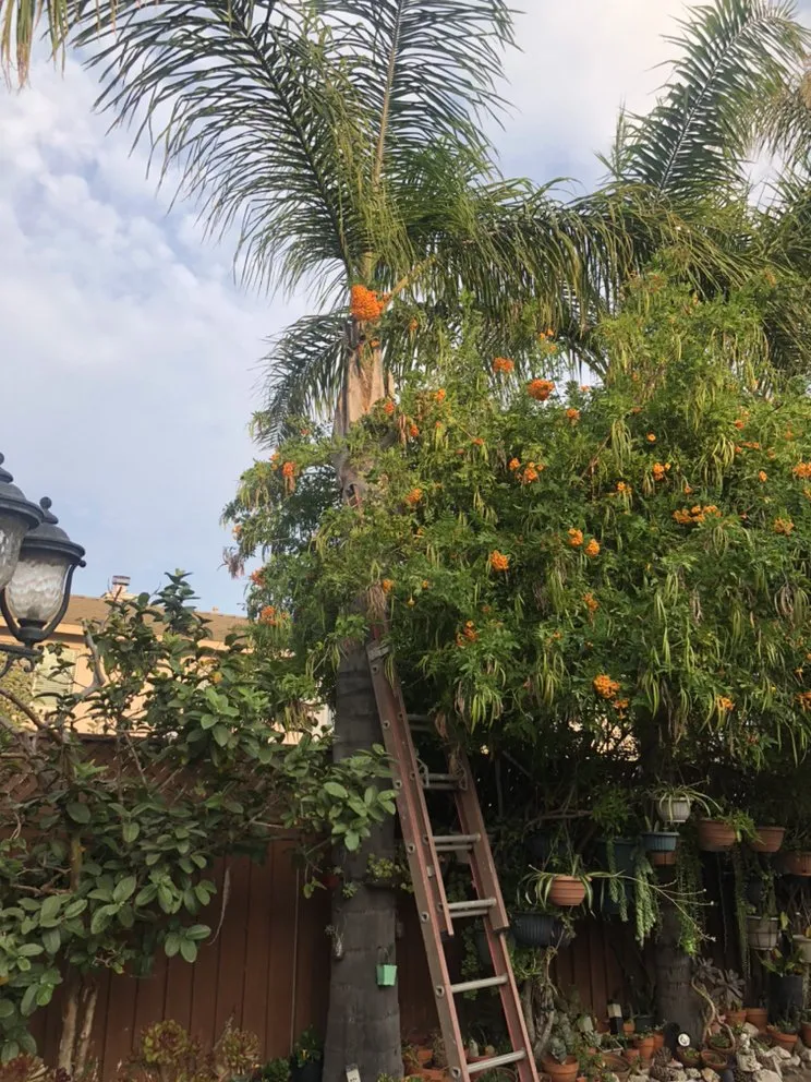 Custom outdoor landscaping experts serving Oxnard, CA - MGL Landscaping