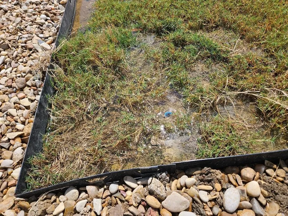 Top-rated landscaping services in Georgetown, TX by MGL Masonry and Landscaping