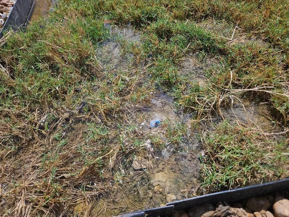 Affordable outdoor landscaping experts serving Georgetown, TX - MGL Masonry and Landscaping