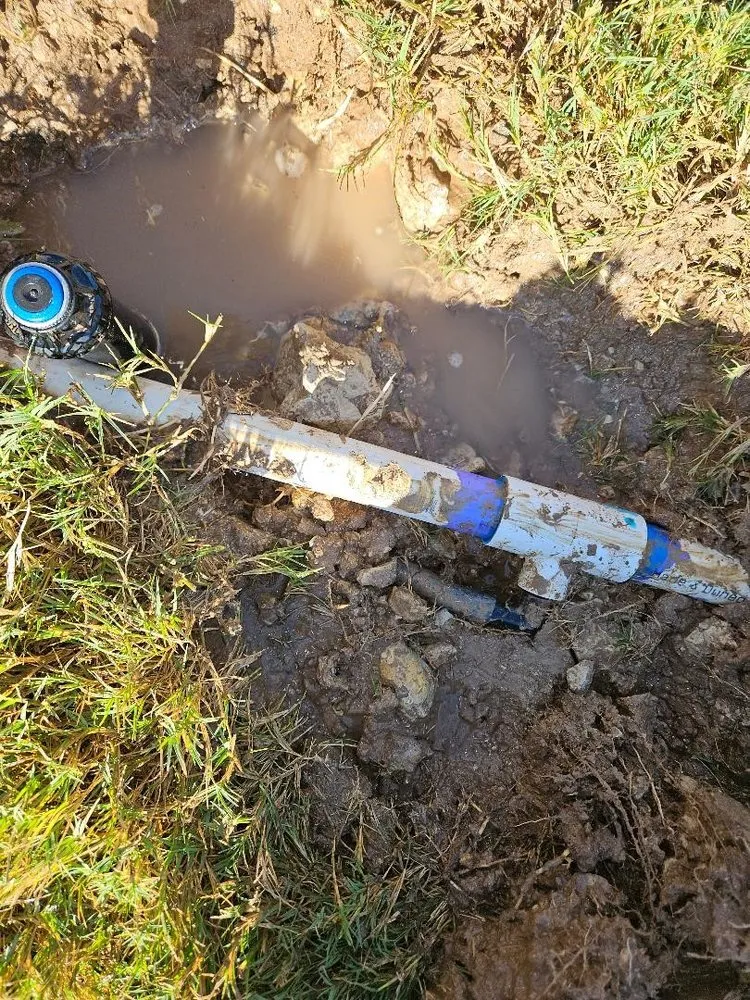 Reliable garden landscaping in Georgetown, TX by MGL Masonry and Landscaping