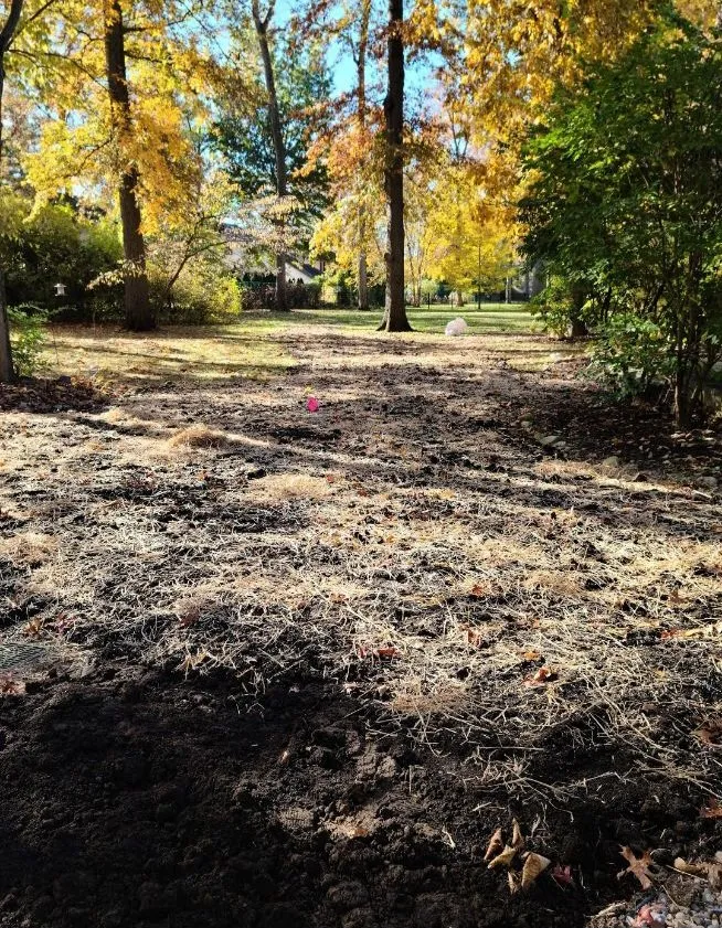 Trusted yard maintenance in Sunbury, OH by MGM Landscape Services