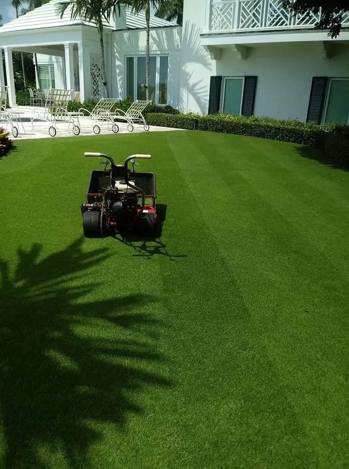 Trusted landscape installation in West Palm Beach, FL - MGM Landscape