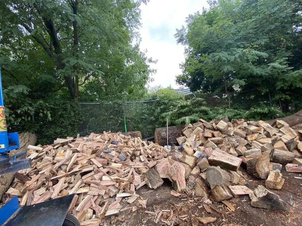 Expert garden landscaping experts serving City of Orange, NJ - MGM Services Group